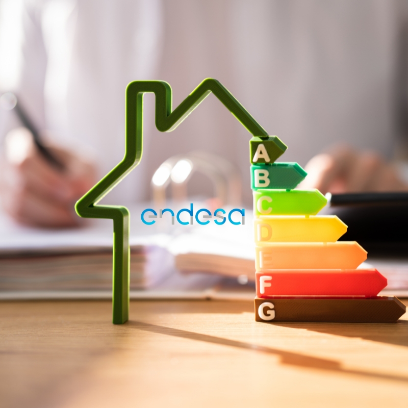 ENDESA LUZ Y GAS