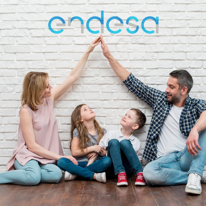 ENDESA LUZ Y GAS
