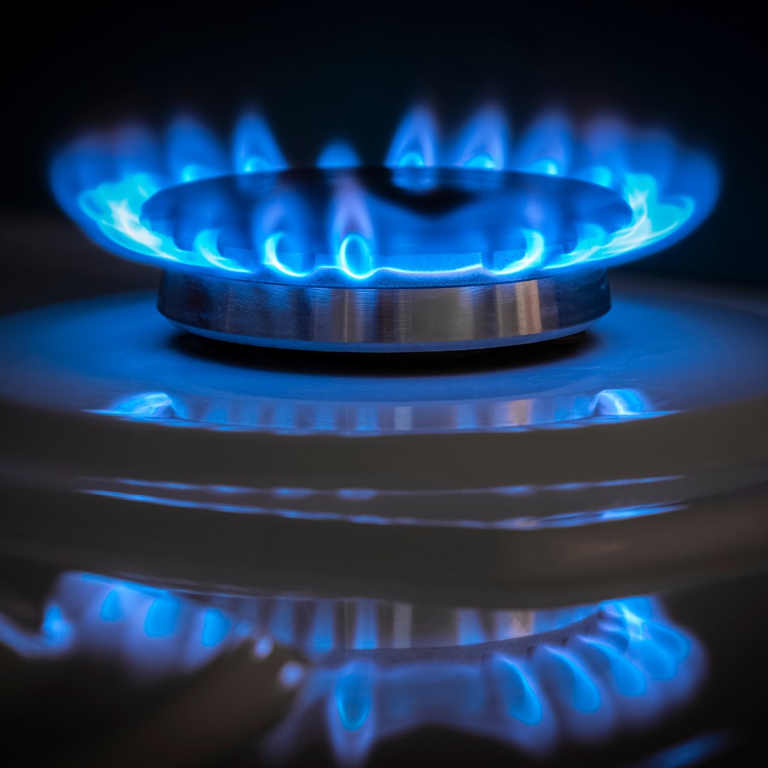 23 hogares endesa luz y gas